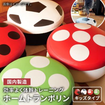 ふるさと納税 糸島市 ホームトランポリン キッズタイプ 未来航路 クッション インテリア [AAB008]