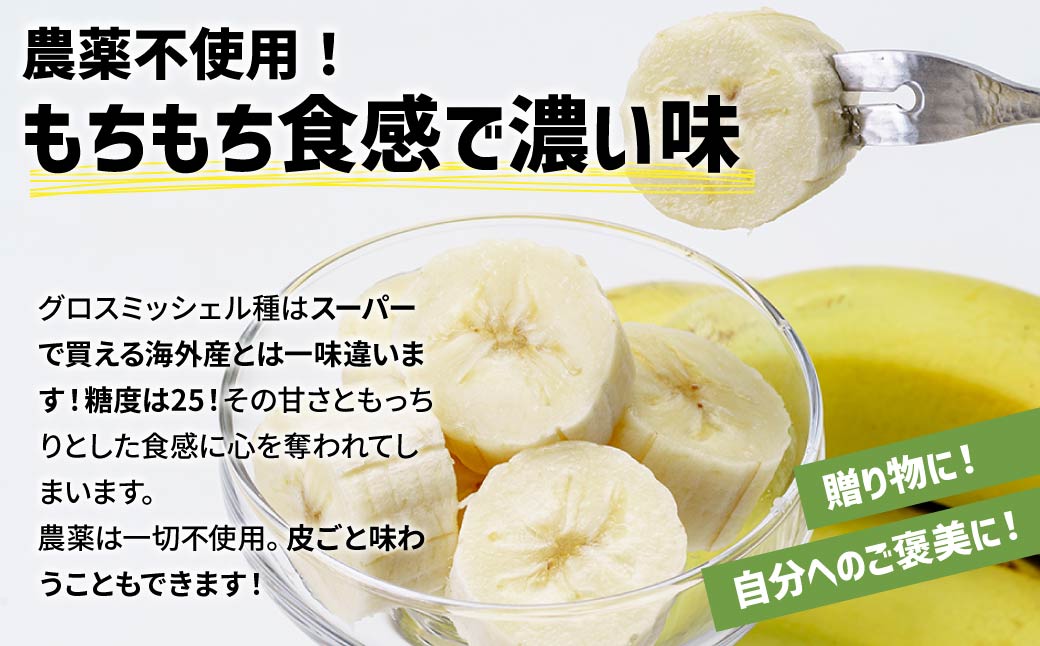 国産 バナナ 1.2kg 入り | 国産 ばなな 幻 高級 極上の甘み もちもち食感 糖度 夏休み 子ども ヒルナンデス メディア 群馬県 前橋市