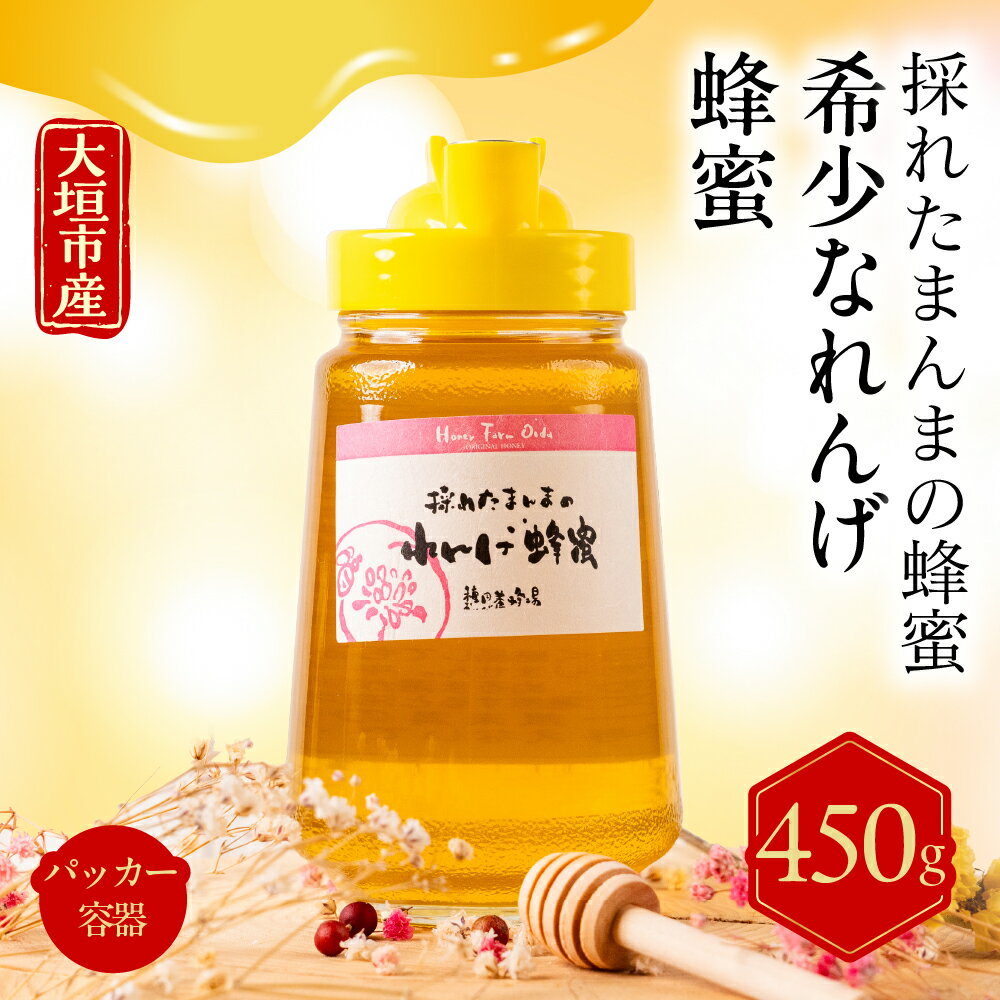 【ふるさと納税】 【大垣産】希少な『れんげ蜂蜜』（液だれしにくいパッカー容器入：450g） 岐阜県 大垣市 蜂蜜 ハニー ボトル入り 非常食 防災 岐阜県 大垣市