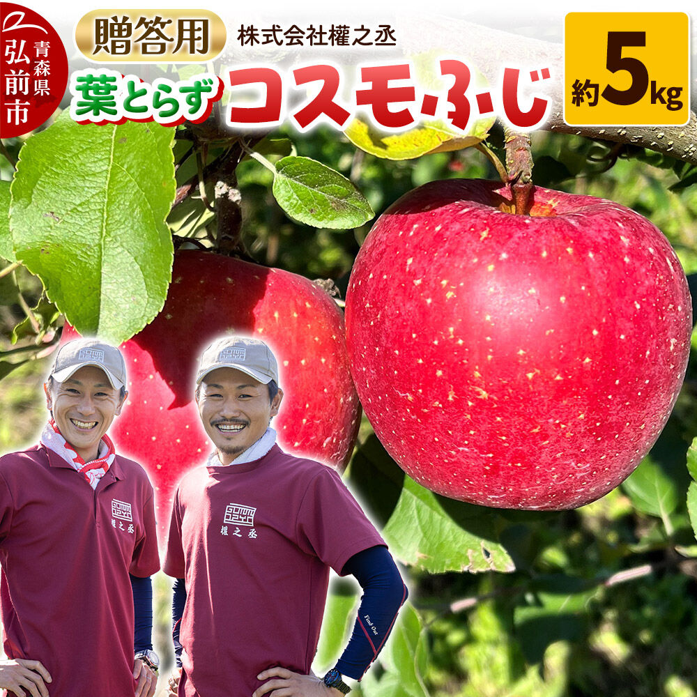 【ふるさと納税】【26年11月下旬〜発送】りんご コスモふじ【贈答用】約5kg 權之丞 葉とらずりんご 青森りんご 先行受付 青森県 弘前市 果物 フルーツ 林檎 リンゴ くだもの ギフト 贈り物 [先行予約 産地直送 弘前市産 アップル おいしい]