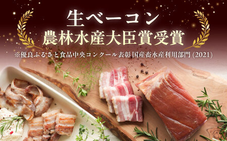 中山道ハム プレーンソーセージ 生ベーコン 計5パック 小分け 冷凍 瑞浪市 / オーガニックフーズ お取り寄せ 小分け 手作り 無塩せき 発色剤 保存料 無添加[AZAK009]