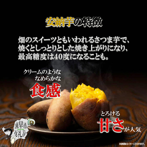 ※【2025年11月より順次発送／先行予約】【訳あり】栽培期間中農薬不使用 安納芋 10kg / さつまいも サツマイモ いも イモ 芋 野菜 / 諫早市 / ふるさと有明ファーム [AHAQ001]