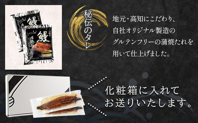 【香南市】【3回定期便】うなぎ 蒲焼き 約200g×2尾 2尾【3回定期便】 約200g