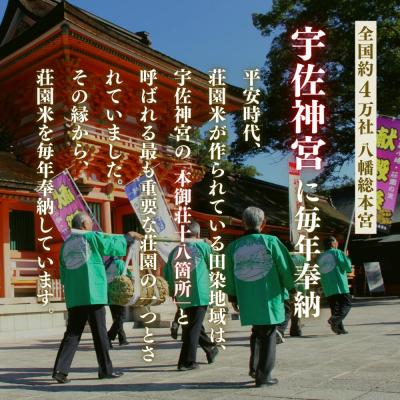 ふるさと納税 豊後高田市 荘園米 【玄米】11kg(1袋/精米後約10kg)  精米 ひのひかり ヒノヒカリ |  | 03