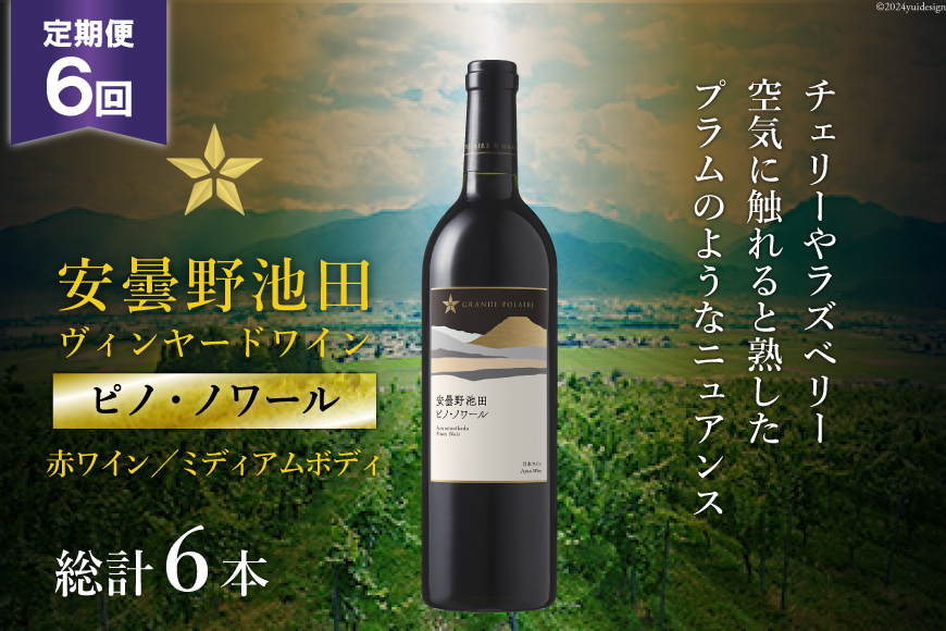 6回 定期便 赤ワイン サッポロ グランポレール 安曇野池田ヴィンヤード「ピノ・ノワール」750ml 総計6本 [ナチュラルマルシェ ソヨソヨ 長野県 池田町 48110871] 赤 ワイン ミディアムボディ お酒 酒 