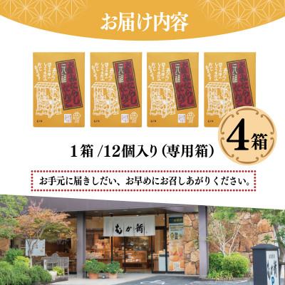 ふるさと納税 泉佐野市 元祖大阪 みたらしだんご 12個×4箱【専用箱】 G3691 |  | 03