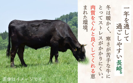 長崎和牛 特選 切り落とし1,200g / お手頃 焼肉 すき焼き 肉 牛肉切り落とし 牛肉 和牛切り落とし肉 切り落とし肉 特選切り落とし すきやき用切り落とし【川下精肉店】[OAA017]