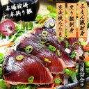 【ふるさと納税】【母の日】枕崎産 一本釣り ぶえん鰹刺身・たたき・戻り鰹 詰め合わせ【タレ付】 A3-301M【配送不可地域：離島】【1600650】