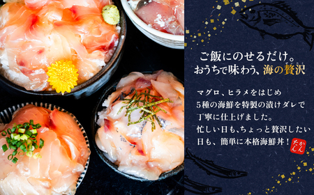 漬け海鮮丼 5種×2パック 計10食セット 海鮮丼  漬け丼 魚介