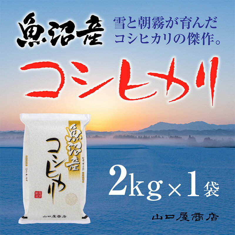 【ふるさと納税】「厳選☆十日町育ち」魚沼産コシヒカリ 2kg お米 米 コメ 　お届け：順次発送