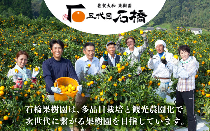 【2025年発送分先行予約】【口当たりなめらか！】佐賀県産桃！日川白鳳2kg（8-10玉）/ 桃 もも フルーツ 果物 / 佐賀県 / 石橋果樹園 [41AAAJ002]
