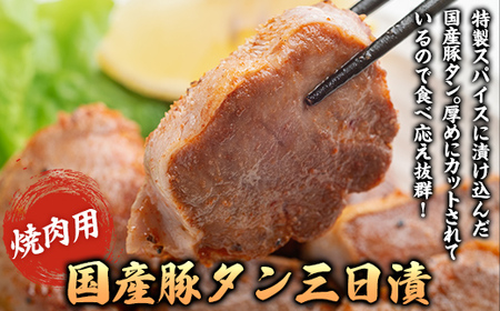 豚タン三日漬焼き肉用 【 ふるさと納税 人気 おすすめ ランキング 豚肉 豚タン 味付き 焼肉 味付け おつまみ 250ｇ 4個セット 4個 セット 4パック 地元 人気店 人気 小分け 冷凍 食べ応