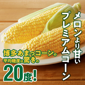 【訳あり】ＳＤＧｓ米糠堆肥で作ったとうもろこし「博多あまっコーン（ご家庭用カット品）」4.5キロ_Gv046_酒見農産