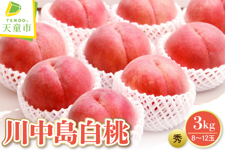 もも 川中島 白桃 3kg フルーツ 果物 山形 桃