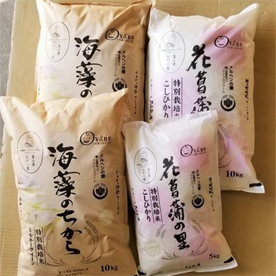 
                  2024年2月発送開始『定期便』特別栽培米2回で計35kg (ミルキークイーン・コシヒカリ)全2回【5147684】
                