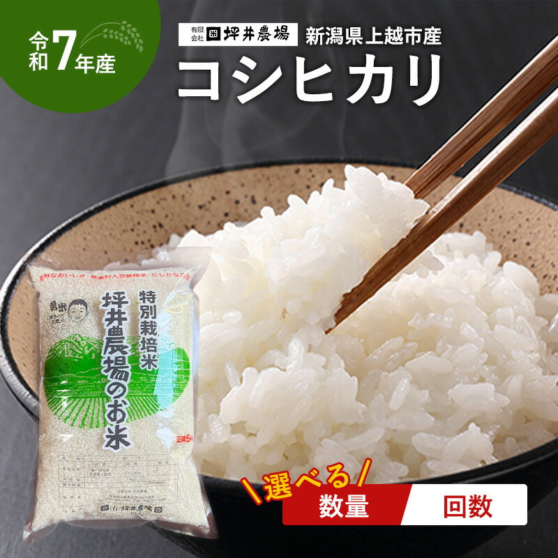 【ふるさと納税】新米予約 令和7年 新潟県産 コシヒカリ 特別栽培米 窒素封入 5kg 10kg 15kg 5キロ 10キロ 15キロ 新米 白米 精米 米 定期便 上越市 上越産 おすすめ 送料無料　お届け：10月上旬より順次出荷