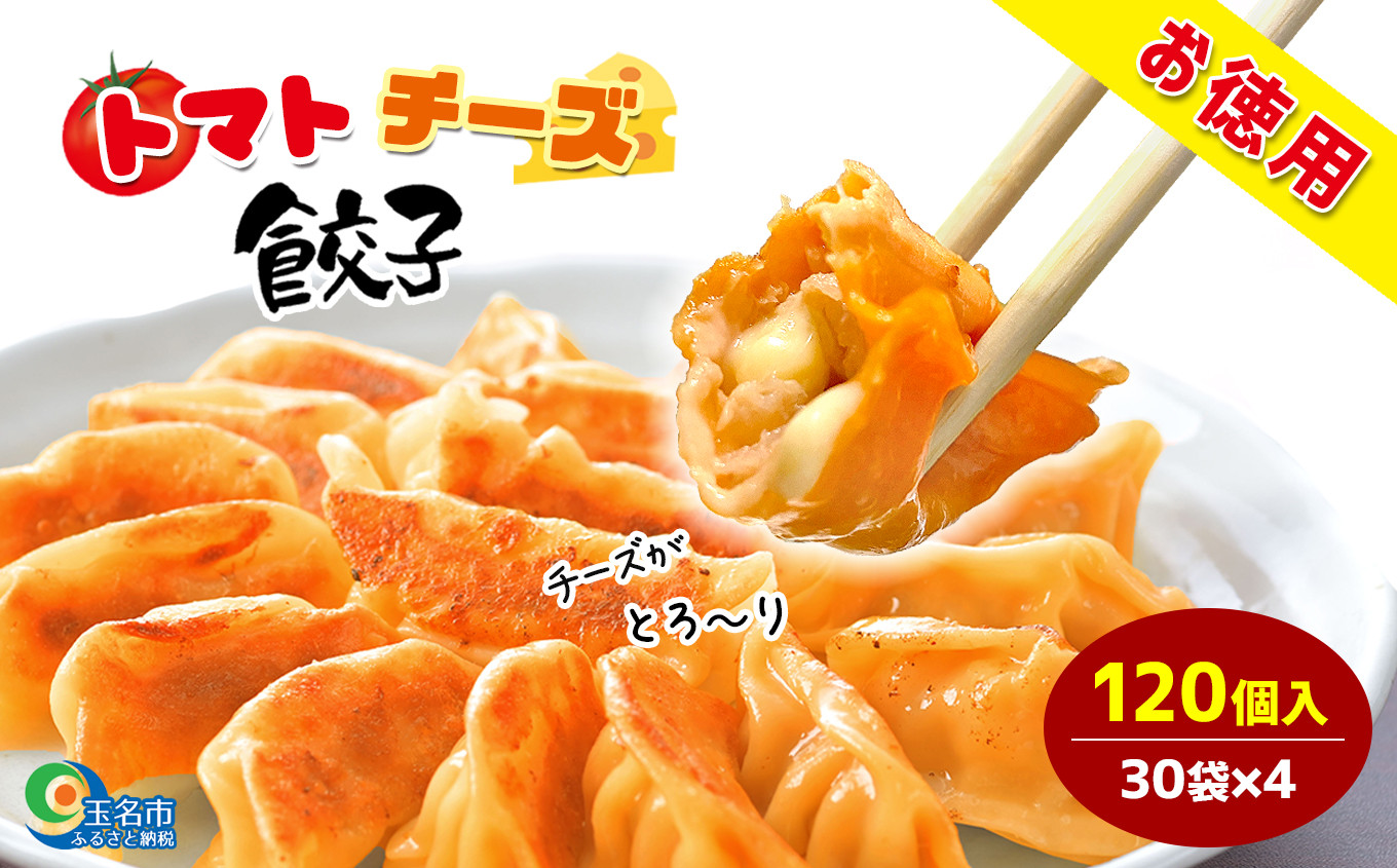 
            トマトチーズ餃子 120個入り | 食品 中華 加工品 おかず 一品 餃子 ぎょうざ トマト チーズ 熊本県 玉名市
          