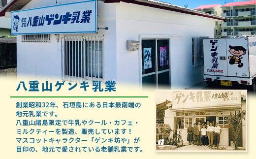 【ふるさと納税限定】【定期便_2回】ゲンキ牛乳バリューセット【八重山ゲンキ乳業】【日本最南端の乳業】【伊盛牧場産 生乳100％使用】GN-3_2t