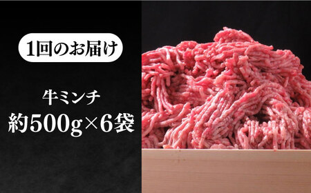 【全3回定期便】 壱岐牛 A5ランク 牛ミンチ 約500g×6 《壱岐市》【KRAZY MEAT】 [JER046] 小分け ミンチ 3kg 挽き肉 ひき肉 牛肉 赤身