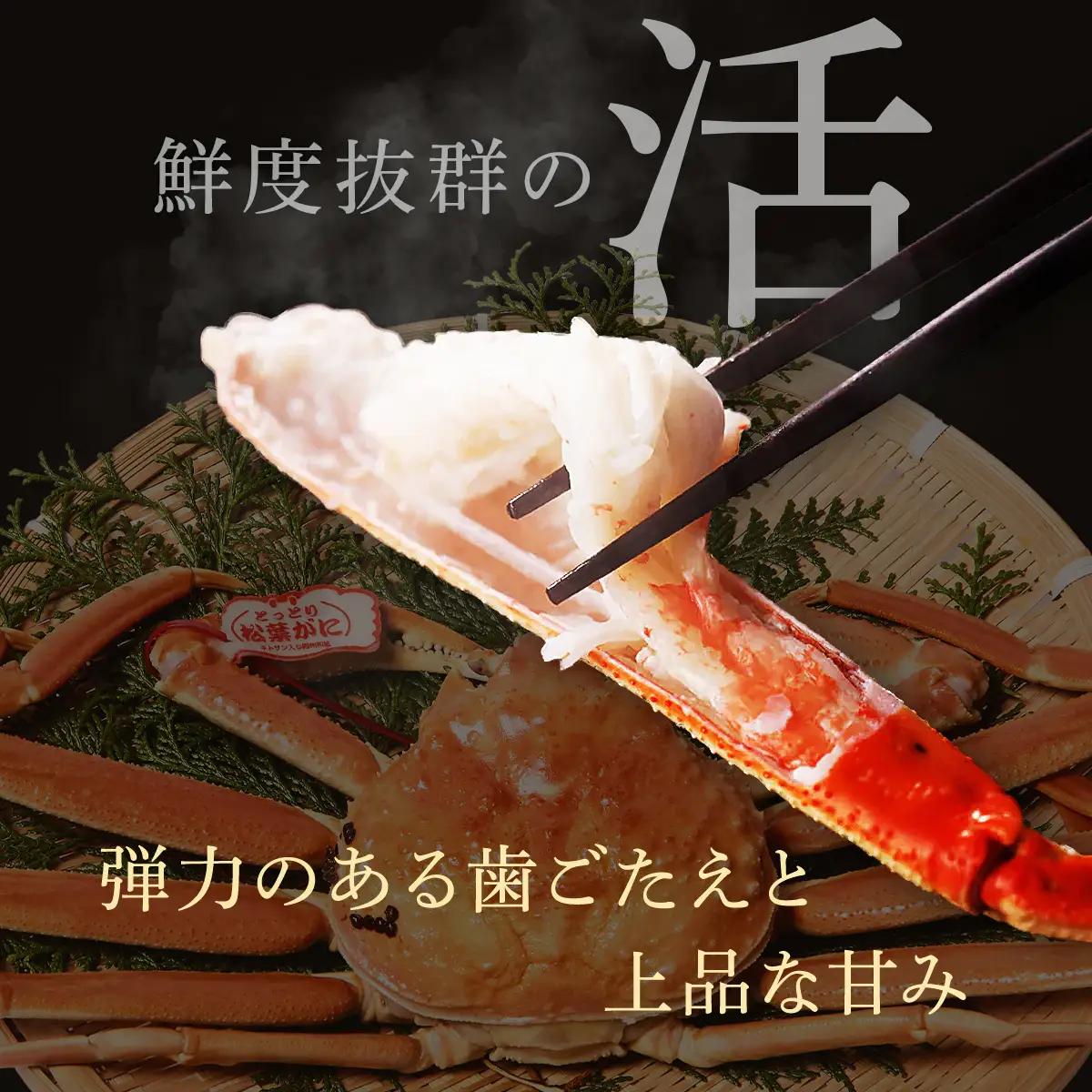 Y1094 【訳あり】活〆ボイル松葉がに2杯（500～700g×2杯）