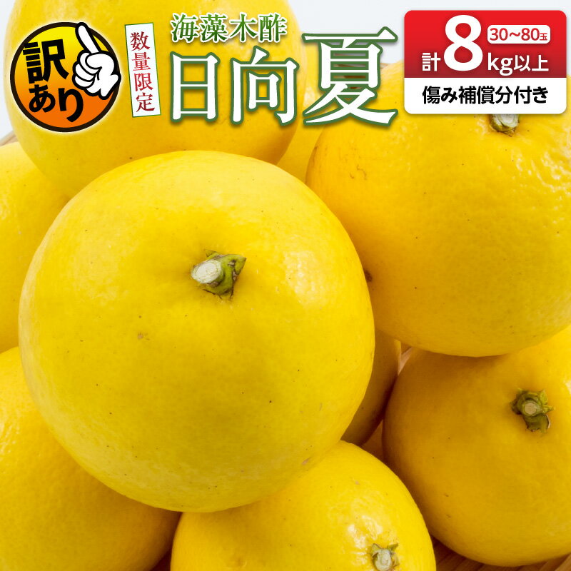 【ふるさと納税】先行予約 訳あり 海藻木酢 日向夏 小夏 計8kg以上 傷み補償分付き 期間限定 数量限定 フルーツ 果物 くだもの 柑橘 みかん 訳アリ 国産 食品 デザート おやつ おすそ分け おすすめ ご家庭用 ご自宅用 B品 傷 マーマレード 産地直送 宮崎県 日南市 送料無料