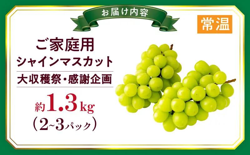 【大収穫祭・感謝企画】ご家庭用シャインマスカット　約1.3kg以上(2～3房) | シャインマスカット マスカット ぶどう ブドウ 葡萄 果物 フルーツ 新鮮 くだもの 国産 ギフト お裾分け 旬 人