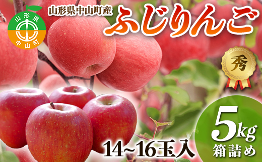 【2025年先行予約】果物の郷 中山町からお届けします！「ふじりんご」期間限定 数量限定 リンゴ 林檎 F4A-0059