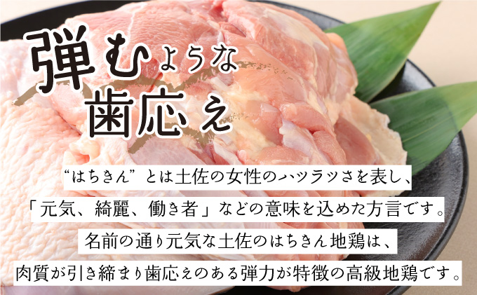 【ふるさと納税】はちきん地鶏 もも肉 1kg モモ肉 鶏肉 鳥肉 とり肉 冷凍 国産 送料無料