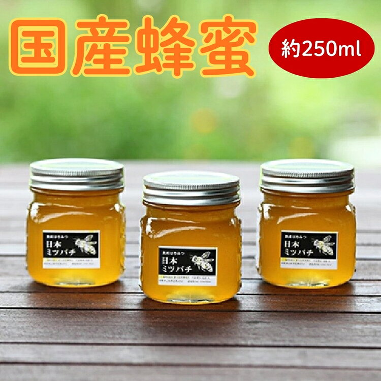 【ふるさと納税】国産蜂蜜　約250ml [No.351] ／ はちみつ 無添加 酵素 送料無料 岐阜県