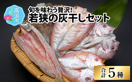 【解凍だけの簡単調理】若狭　灰干し5種セット（甘鯛、真鯛、連子鯛、かます、アオリイカ）干物 海鮮 冷凍食品