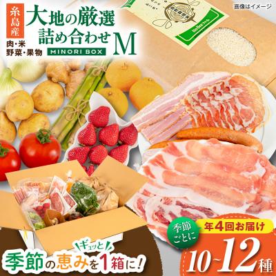 ふるさと納税 糸島市 【全4回定期便】糸島産 肉 米 野菜 果物 厳選詰め合わせ Mサイズ [AOP002]