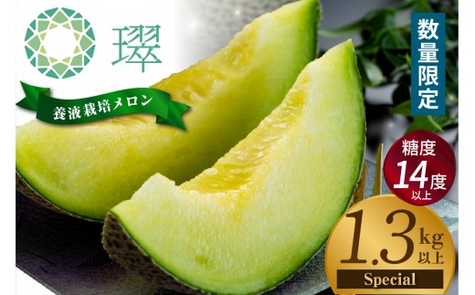 養液栽培メロン「璻」1玉【Special】（糖度14度以上、重さ1.3㎏以上）【熨斗対応可能】│メロン めろん 果物 フルーツ 高級 旬 お取り寄せ 青肉 ご褒美 グルメ 璻 甘い 愛知県 常滑市