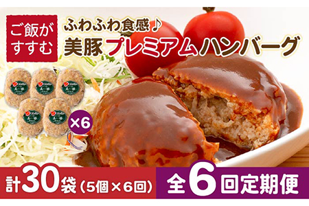 【6回定期便】五島美豚プレミアムハンバーグ5個 五島市/長崎フードサービス[PEL041]  ハンバーグ 手作り  肉 豚 豚肉 国産