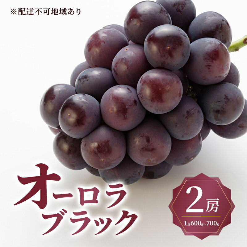 【ふるさと納税】ぶどう 2026年 先行予約 オーロラ ブラック 2房（1房600g～700g） 大粒 種無し ブドウ 葡萄 岡山県産 国産 フルーツ 果物 ギフト MAKANAファーマーズ 果物類 オーロラブラック　お届け：2026年8月下旬～2026年9月中旬