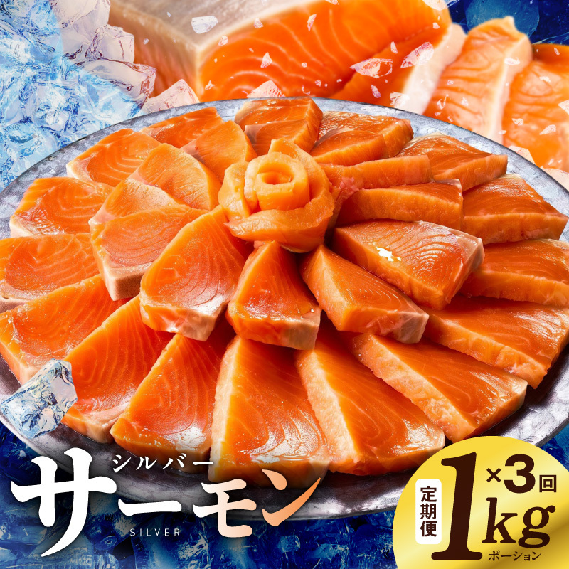 サーモン 定期便 1kg×全3回【ポーション 訳あり サイズ不揃い 刺身 海鮮丼 さーもん サラダ カルパッチョ 鮭 さけ シャケ しゃけ 人気 小分け 冷凍】 099Z346