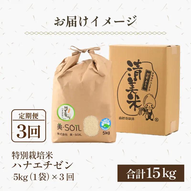 【先行予約】【令和8年産・新米】《定期便》特別栽培米 ハナエチゼン  低農薬 5kg×3回 15kg 《こだわり極上米》 / 福井県 あわら 北陸 米 お米 人気 ※2026年9月上旬以降順次発送 [