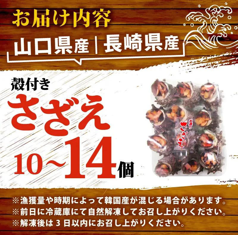 冷凍 お造り サザエ 10～14個 冷凍 下関 山口 《さわ水産：SW》 SW-SZ003