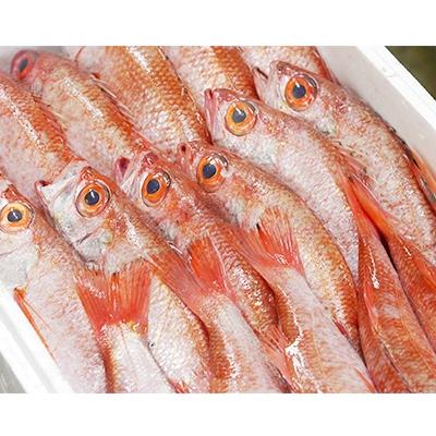 ふるさと納税 京丹後市 のどぐろ一夜干し　(ノドグロ、アカムツ)　250g級使用　干し上がり後　175g以上　3尾セット |  | 03