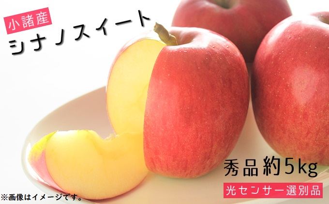 シナノスイート 秀品 約5kg  長野県産 果物類 林檎 りんご リンゴ フルーツ 小諸市