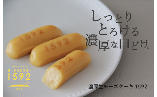 
[J084-002105]南阿蘇のお菓子屋「古今堂」濃厚生チーズケーキ1592（16個入）
