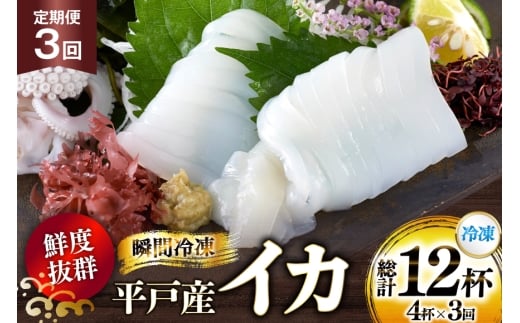 海鮮 魚介 イカ 4杯 1パック（冷凍） 3回 定期便 [舘浦漁業 長崎県 平戸市 hr42bgy420358] おつまみ 新鮮 刺身 瞬間冷凍 冷凍 コリコリ 直送 冷凍 個包装 真空パック