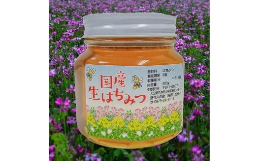 中津・耶馬渓のはちみつ れんげ400g×1瓶 時田養蜂場 | 国産 蜂蜜 ハチミツ レンゲ 蓮華 大分県産 九州産 中津市