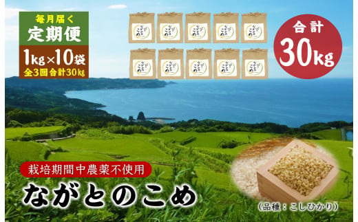 定期便 ながとのこめ こしひかり 玄米 1kg×10袋 毎月 全3回 合計30kg コシヒカリ  長門市 令和6年度産