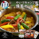 【ふるさと納税】 キャンプ飯 防災食 備蓄 セット 5品 アウトドア キャンプ ゴロっと塩さばカレー おつまみ缶 かつおトマトライス カレーの具 常温保存 焼津 a15-592