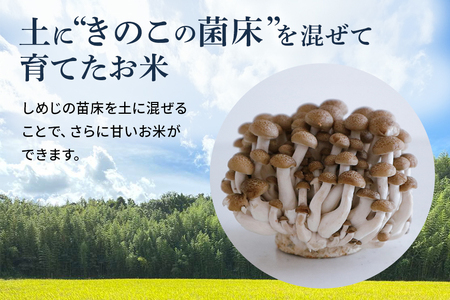 【毎月定期便】心と身体が踊りだす栽培期間中出来るだけ農薬を減らして作る「かすみ米」玄米 5kg 全6回 お米 米 国産米 茨城県 潮来市 (A03-055)