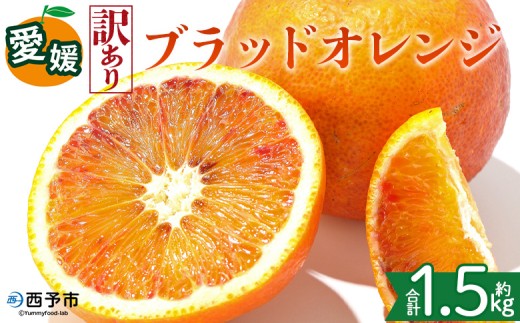 ＜【訳あり】愛媛県産 ブラッドオレンジ 約1.5kg＞『2027年2月下旬～3月下旬迄順次発送予定』わけあり 訳アリ 果汁 ジューシー みかん 蜜柑 果物 くだもの フルーツ ミカン 果汁 国産 特産品 株式会社三代目みかん職人 愛媛 西予市【冷蔵】