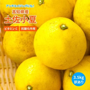 【令和８年５月発送】訳あり小夏3.5キロ（白浜農園の減農薬小夏） 柑橘 みかん フルーツ 日向夏 果物 ワケあり 傷 訳 家庭用 自宅用 特産【R01152】