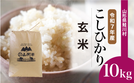 ＜令和7年産＞ こしひかり 【玄米】 10kg （10kg×1袋）＜配送時期選べます＞　山形県鮭川村