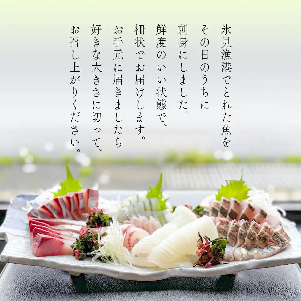 【6回定期便 / 隔月お届け】 刺身詰め合わせ （柵） 2-3人前 （3種類）〈冷蔵〉  釣屋魚問屋直営 ひみ岸壁市場