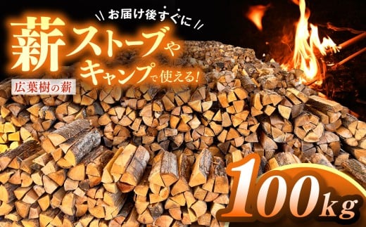 薪 信州産 広葉樹の薪 薪1箱 約20キロ×5箱 合計100キロ 薪長さ：35cm｜伊那 薪 松 キャンプ 伊那産 広葉樹 暖かい アウトドア おすすめ ふるさと納税【041-03】